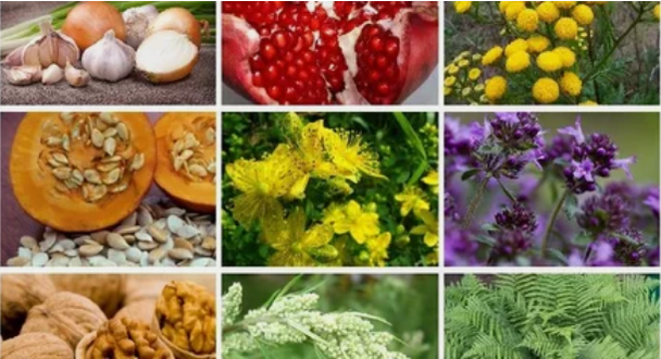 Trattamento dei parassiti nel corpo umano con rimedi popolari