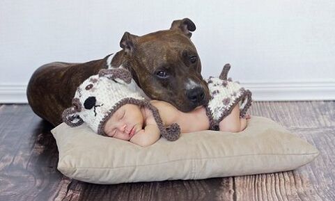 Un bambino con un cane